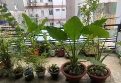 Bán nhà 4 tầng hẻm xe hơi Trường Sơn, gần công viên Hoàng Văn Thụ, Tân Bình... Bán owner_side tại Tân Sơn Nhất, Hồ Chí Minh 15