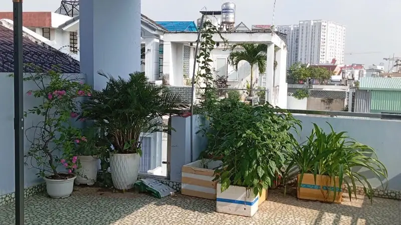 BÁN GẤP NHÀ MẶT PHỐ, P BÌNH TRƯNG Q2 CŨ, DT 78M, CHỈ HƠN 8 TỶ... Bán nhà mặt phố tại Bình Trưng, Hồ Chí Minh 01