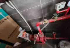 Bán nhà riêng 4 tầng tại Phường Tăng Nhơn Phú B, TP Thủ Đức, 127.5 m2... Bán nhà riêng tại Tăng Nhơn Phú, Hồ Chí Minh 06