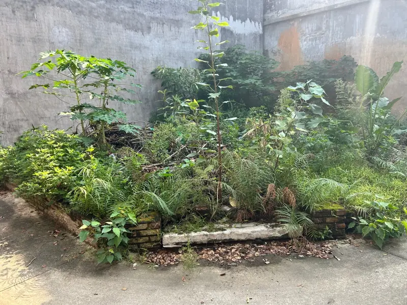 Bán đất lô góc Phù Khê, Từ Sơn, diện tích 61m², pháp lý đầy đủ... Bán đất tại Phù Khê, Bắc Ninh 01