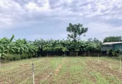 cần bán lô đất với diện tích siêu lớn. tại Ngọc thanh , hiệp cường , hưng yên... Bán đất tại Hiệp Cường, Hưng Yên 09