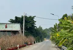 Sở hữu khu đất mặt tiền kênh số 5 tại Bình Lợi, Bình Chánh... Bán nhà mặt phố tại Bình Lợi, Hồ Chí Minh 07