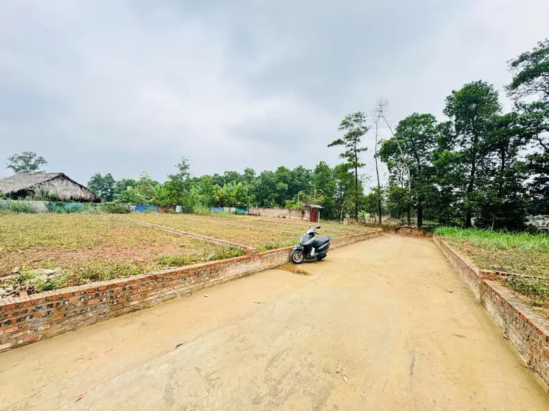 Đất PHÂN LÔ - TRŨNG GIÃ SÓC SƠN – FULL THỔ CHỈ NHỈNH 1 TỶ... Bán đất tại Trung Giã, Hà Nội 01