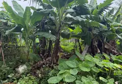 Cơ hội Vàng sở hữu mảnh đất tại khu Tái định cư Hoa Động, Long Biên. Thông số vàng, 2 mặt tiền.... Bán nhà riêng tại Long Biên, Hà Nội 03