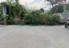 Bán đất tại phường Tân Đông Hiệp diện tích 148.8m² hướng Đông Bắc, giá 3.95 tỷ đồng... Bán đất tại Tân Đông Hiệp, Hồ Chí Minh 01