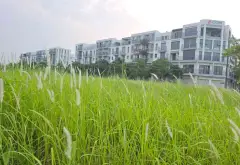 Biệt thự liền kề mặt phố đi bộ The Manor Central Park giá cực tốt.... Bán biệt thự, liền kề tại Định Công, Hà Nội 03