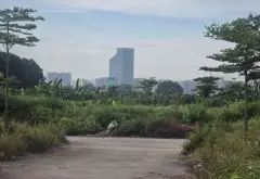 Bán đất Cửu Cao-Văn Giang, đất phân lô, đường rộng vỉa hè, Nhỉnh 1 tỷ.... Bán đất tại Phụng Công, Hưng Yên 04