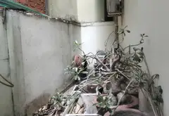 NHÀ 120M2 - 2 TẦNG - SÁT MẶT TIỀN ĐƯỜNG QUANG TRUNG - P. AN HỘI TÂY- GÒ VẤP - 7TY2 TL... Bán nhà riêng tại An Hội Tây, Hồ Chí Minh 18