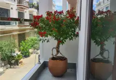 Nhà phố đẹp, hẻm rộng, xe hơi vào tận nhà ở Quận 12... Bán nhà riêng tại An Phú Đông, Hồ Chí Minh 13