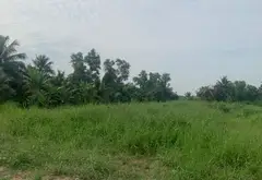Mảnh Đất Vàng Bình Lợi Mặt Tiền Rộng 49m, Đầu Tư Sinh Lời... Bán nhà mặt phố tại Bình Lợi, Hồ Chí Minh 15