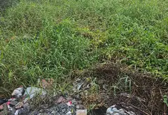 Bán đất Bình Lợi Bình Chánh 433m2, mặt tiền 10m, giá 5.4 tỷ... Bán đất tại Bình Lợi, Hồ Chí Minh 06