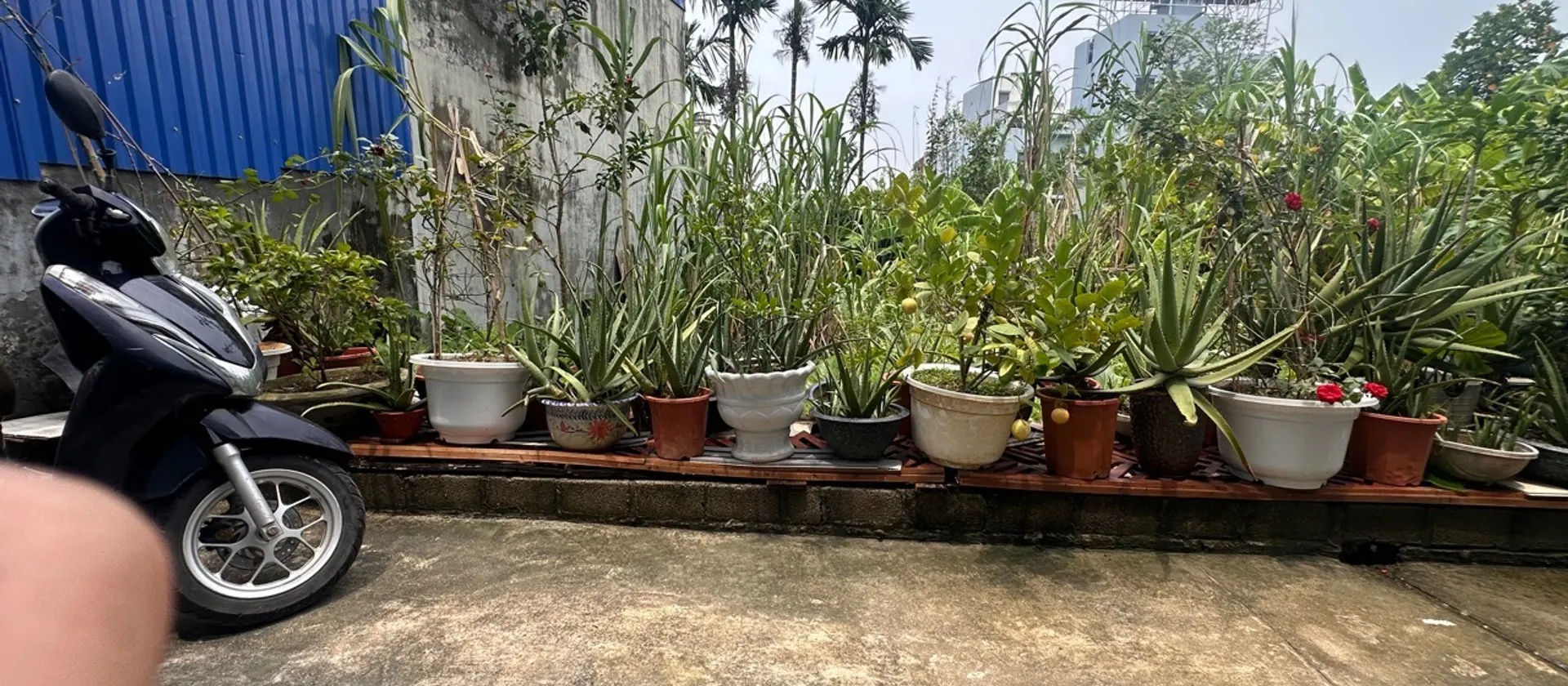 Đất trung tâm Kiến An, vị trí đầu tư siêu tiềm năng... Bán đất tại Phù Liễn, Hải Phòng 01
