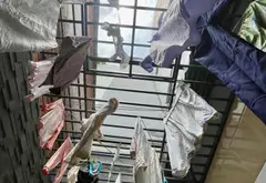 Nhà 5 tầng ngay chợ Gò Xoài, Lê Văn Quới, giáp Lê Thúc Hoạch Tân Phú, hẻm ô tô thông, 65m² nhỉnh 7Đ... Bán nhà riêng tại Bình Hưng Hòa, Hồ Chí Minh 06