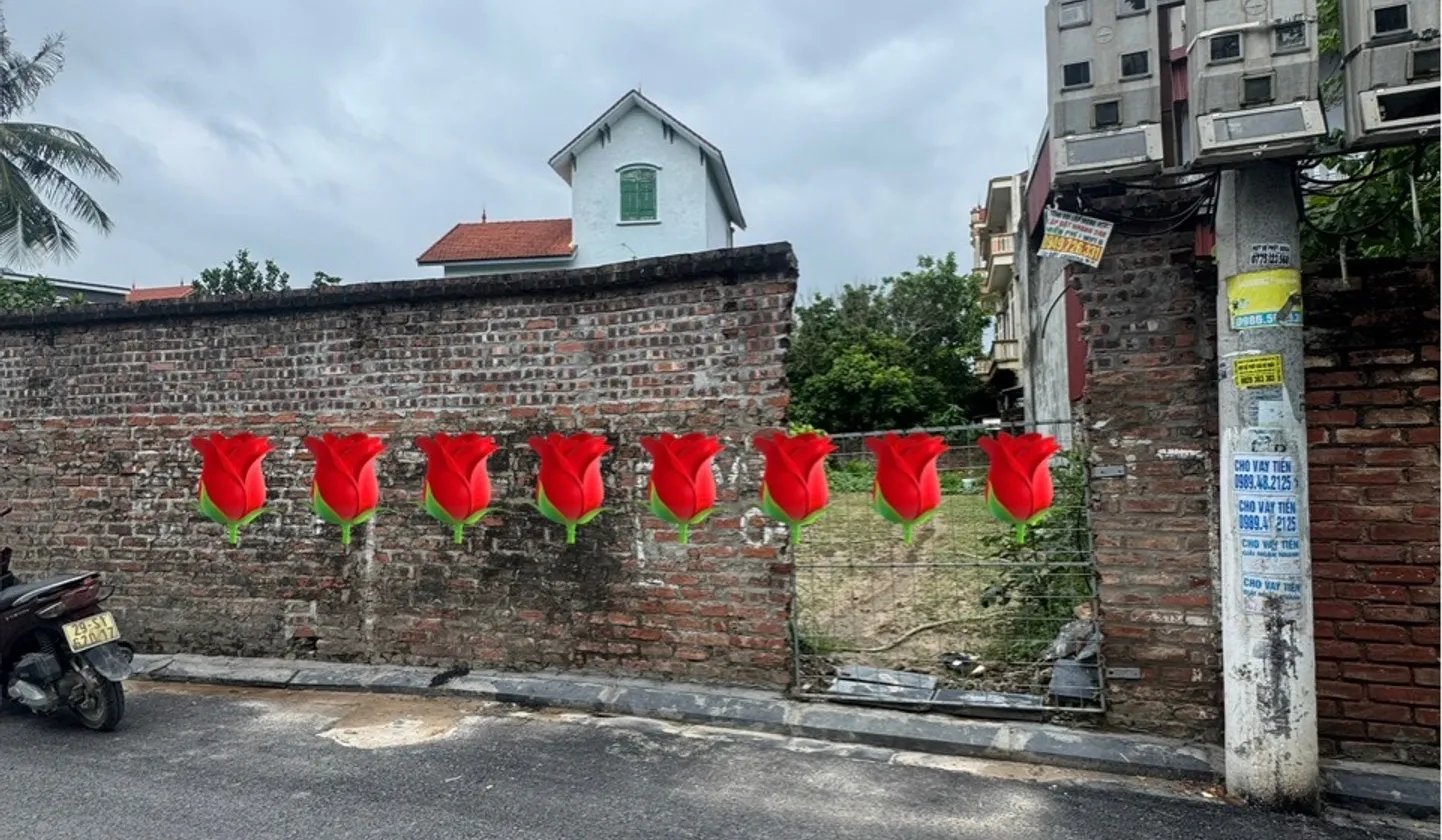 Cơ hội hiếm có sở hữu đất mặt tiền trục chính Trung Hậu Đông, Mê Linh... Bán đất tại Mê Linh, Hà Nội 01