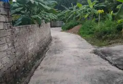 Cơ hội sở hữu đất thổ cư rộng lớn cùng nhà mộc kiên cố tại Thủy Nguyên... Bán đất tại Việt Khê, Hải Phòng 04