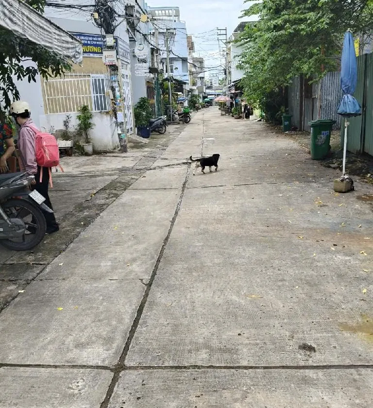 Bán nhà riêng 4 tầng phường Bình Trị Đông Quận Bình Tân, diện tích 78.9 m², giá 8 tỷ đồng... Bán nhà riêng tại Bình Trị Đông, Hồ Chí Minh 01