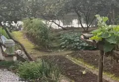 Đất Vuông Vức Trung Tâm Đông Mỹ - Cơ Hội Vàng Cho Nhà Đầu Tư... Bán đất tại Thanh Trì, Hà Nội 02