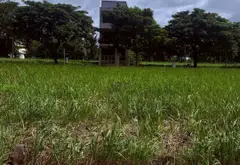 Bán đất 120m2 mặt tiền 6m tại Vạn Phát Hưng giá 6,7 tỷ... Bán đất tại Nhà Bè, Hồ Chí Minh 01