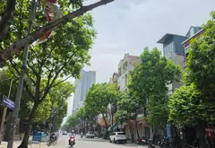 SIÊU PHẨM MẶT PHỐ TÔ HIỆU HÀ ĐÔNG – GIÁ F0 HỢP LÝ NHẤT PHỐ – KINH DOANH ĐỈNH... Bán nhà mặt phố tại Hà Đông, Hà Nội 02