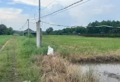 Bán 700m đất, Shr, Xuân Thới Thượng, 1,75 tỷ... Bán đất tại Bà Điểm, Hồ Chí Minh 02