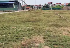 Cơ hội hiếm có sở hữu đất đẹp giá tốt tại Sóc Sơn ngay khu công nghiệp lớn... Bán đất tại Nội Bài, Hà Nội 03