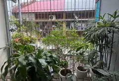 Lạc Trung, ngõ ô tô cách 30m, diện tích 44m2 chỉ 10 tỷ 5... Bán nhà riêng tại Vĩnh Tuy, Hà Nội 10