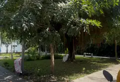 HXH GÒ DẦU - TÂN SƠN NHÌ - TÂN PHÚ... Bán nhà riêng tại Tân Sơn Nhì, Hồ Chí Minh 05