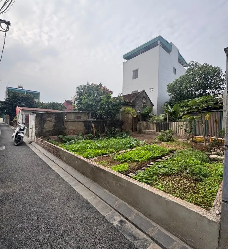 Bán đất mặt tiền 8m tại Du Nội, giá ưu đãi giảm 200 triệu... Bán đất tại Đông Anh, Hà Nội 01