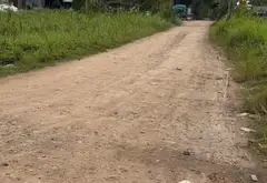 Đất vuông trồng cây lâu năm ngay Trần Đại Nghĩa, tiện ích trọn vẹn... Bán đất tại Bình Lợi, Hồ Chí Minh 09