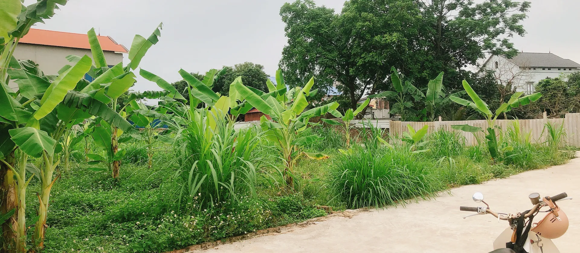 🔆Bán đất Tiên Dược lô góc 2 mặt thoáng - Sóc Sơn 100m2 đất ở - ô tô 7 chỗ chạy quanh... Bán đất tại Sóc Sơn, Hà Nội 01