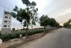 Bán đất 100m2 hướng Bắc tại Khu đô thị Cienco 5 Quang Minh, Mê Linh... Bán đất tại Quang Minh, Hà Nội 01