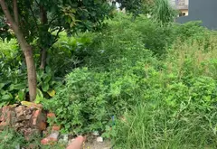 Liên hệ Em Chí 0396576996... Bán đất tại Lạc Đạo, Hưng Yên 06