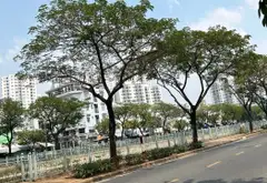 Bán nhà riêng 2 tầng, 5 phòng ngủ rộng rãi tại Quận 6, diện tích 79m²... Bán nhà riêng tại Bình Tiên, Hồ Chí Minh 01
