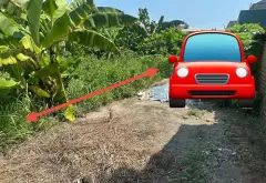 Đất nền vuông vức, vị trí vàng tại Bắc Thượng Quang Tiến... Bán đất tại Nội Bài, Hà Nội 01