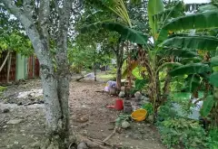 Đất rộng mặt tiền đường T11 Bình Chánh giá tốt... Bán đất tại Bình Chánh, Hồ Chí Minh 07