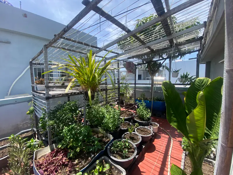 Bán nhà mặt phố An Thượng 14 - 51.6m² - Ngũ Hành Sơn, Đà Nẵng - 13.5 tỷ... Bán nhà mặt phố tại Ngũ Hành Sơn, Đà Nẵng 01