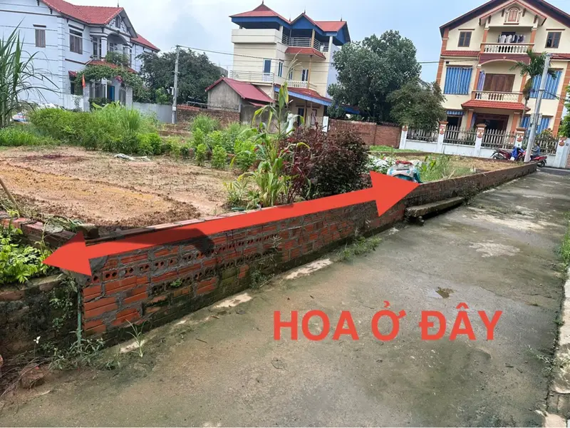 Bán lô đất 80m - full thổ cư tại Mỹ Ninh, Kim Anh, Hà Nội (ĐC cũ: Ninh Cầm - Tân Dân - Sóc Sơn).... Bán đất tại Kim Anh, Hà Nội 01