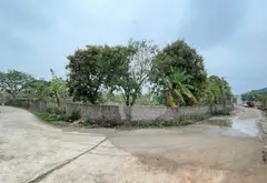 Bán đất 1916m2 xã Kim Anh, Hà Nội, giá 12 tỷ, mặt tiền rộng... Bán đất tại Kim Anh, Hà Nội 05