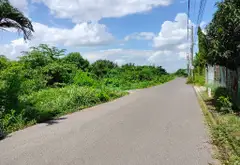 Cơ hội vàng sở hữu đất nền đắc địa mặt tiền đường 10m, tại Bình Hưng, Bình Chánh chỉ 1.79 tỷ... Bán đất tại Bình Hưng, Hồ Chí Minh 08
