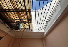 🔥 QUẬN 5 – MẶT TIỀN 5 TẦNG – VỊ TRÍ KINH DOANH ĐỈNH –... Bán nhà mặt phố tại Chợ Lớn, Hồ Chí Minh 15