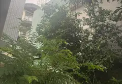 Bán nhà, Phan Bôi, 221m x 9m, 12.9 tỷ, thương lượng... Bán nhà riêng tại An Hải, Đà Nẵng 04
