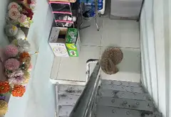 Nhà 4 tầng 2PN 3WC tại phường 8 Tân Bình, giá 2.8 tỷ... Bán owner_side tại Tân Hòa, Hồ Chí Minh 03