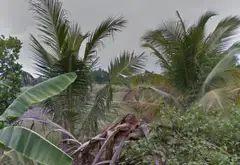 Đất rộng Thích Thiện Hòa, không gian sống đẳng cấp... Bán đất tại Bình Lợi, Hồ Chí Minh 03
