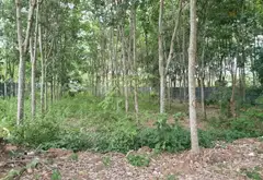 Villa sang trọng sân vườn rộng tại Củ Chi – Không gian nghỉ dưỡng lý tưởng... Bán nhà mặt phố tại Nhuận Đức, Hồ Chí Minh 08