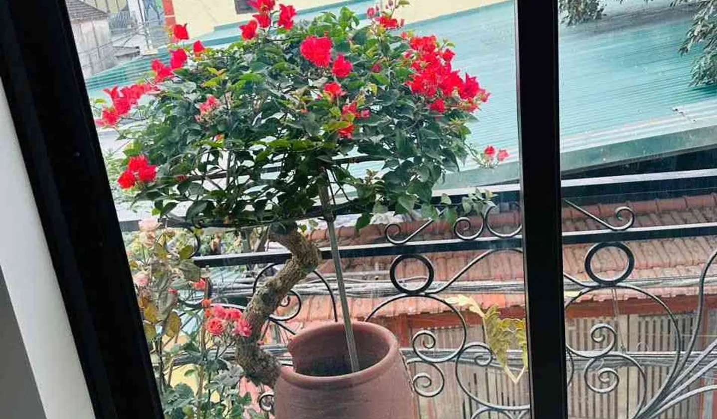 Nhà ngõ ô tô, 5 tầng, kinh doanh cực đỉnh ở Yên Nghĩa... Bán nhà riêng tại An Khánh, Hà Nội 01