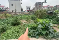 Bán đất thổ cư 66,6m2 tại Quang Tiến, mặt tiền 4m, ngõ ô tô tránh... Bán đất tại Nội Bài, Hà Nội 05