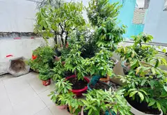 Bán nhà gần bến xe Miền Đông - 4 Tầng gần mặt tiền đường oto - hẻm thông... Bán nhà riêng tại Bình Thạnh, Hồ Chí Minh 03