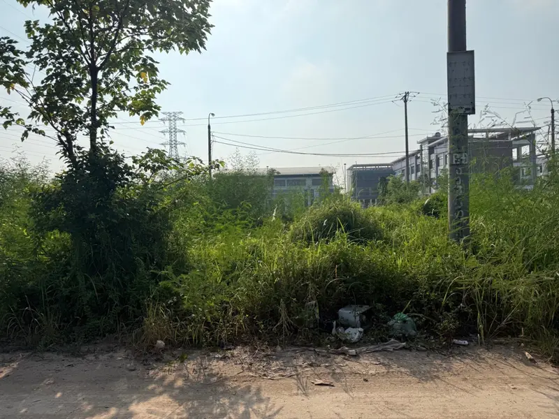 Bán đất nền sáp Mai khu đấu giá, mặt tiền 5m, cơ sở hạ tầng đồng bộ, giá hấp dẫn... Bán đất tại Thiên Lộc, Hà Nội 01