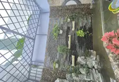 NHÀ MỚI ĐẸP LUNG LINH - CÓ THANG MÁY - XE HƠI NGỦ TRONG NHÀ - HẺM XE TẢI TRÁNH - KHU PHÂN LÔ... Bán nhà riêng tại Tân Sơn, Hồ Chí Minh 04