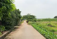 BÁN 1032M ĐẤT GIÁ HƠN 1 TỶ TẠI THUẬN AN GIA LÂM HÀ NỘI... Bán đất tại Thuận An, Hà Nội 07